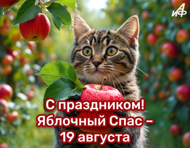 40+ открыток с Яблочным Спасом. Яркие и красивые картинки на 19 августа
40+ открыток с Яблочным Спасом. Яркие и красивые картинки на 19 августа