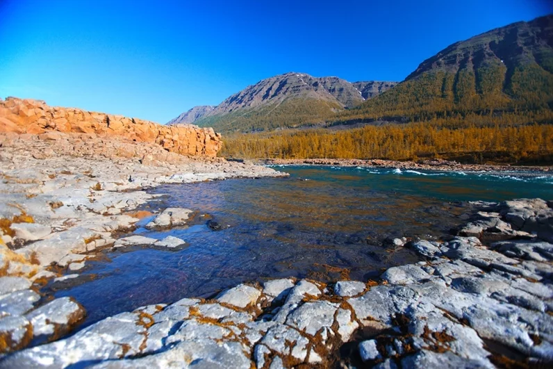 Дойти до края. Экспедиция по Сибири могла стоить Миддендорфу жизни
Дойти до края. Экспедиция по Сибири могла стоить Миддендорфу жизни