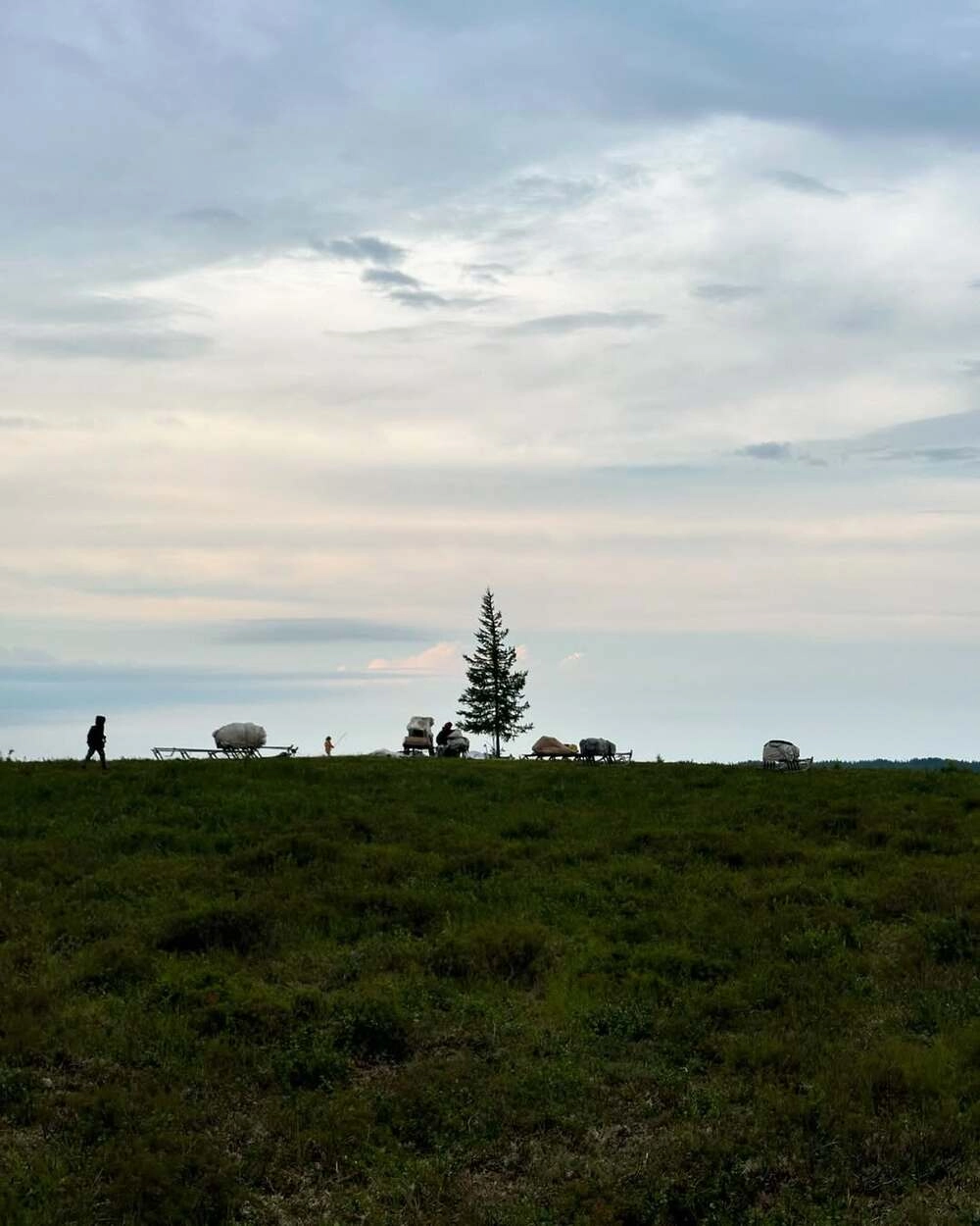
        «Учился ходить». Долларовый миллионер Овчинников стал оленеводом в тундре    