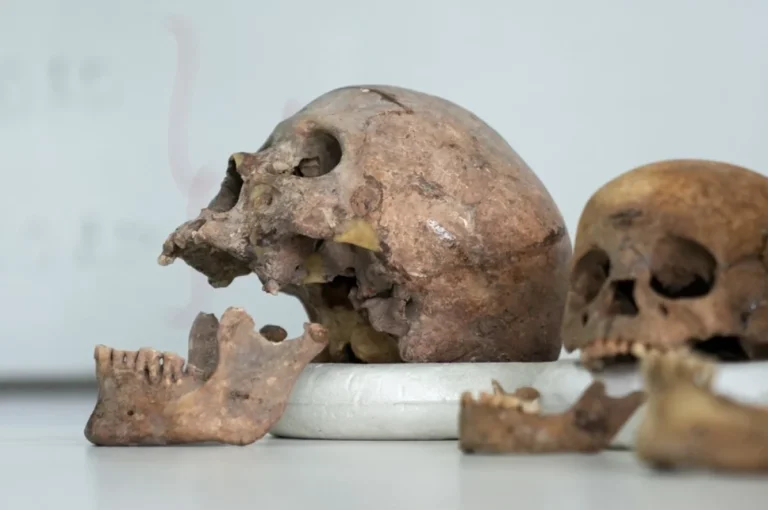 Затерянное племя. В Колумбии обнаружили неизвестную линию человечества