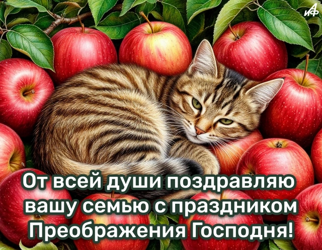 40+ открыток с Яблочным Спасом. Яркие и красивые картинки на 19 августа
40+ открыток с Яблочным Спасом. Яркие и красивые картинки на 19 августа