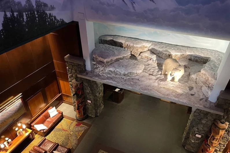 Дружба на расстоянии. Историк Петров назвал продажу Аляски неизбежностью
Дружба на расстоянии. Историк Петров назвал продажу Аляски неизбежностью