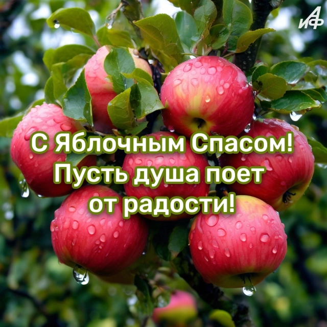 40+ открыток с Яблочным Спасом. Яркие и красивые картинки на 19 августа
40+ открыток с Яблочным Спасом. Яркие и красивые картинки на 19 августа