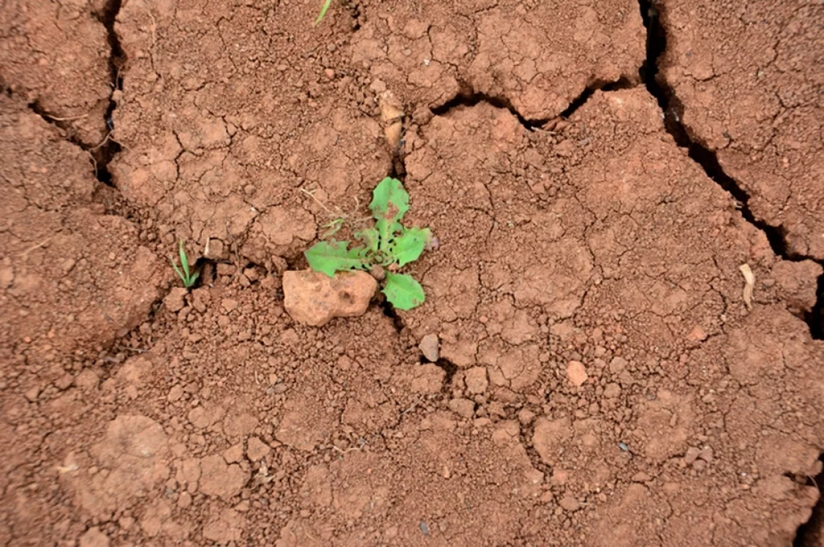 «Будем биться за воду». Климатолог рассказал, какой будет жизнь в 2100 году
«Будем биться за воду». Климатолог рассказал, какой будет жизнь в 2100 году