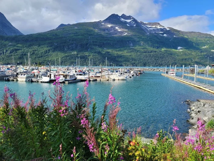 Ожидаются подвижки. На Аляске может произойти землетрясение
Ожидаются подвижки. На Аляске может произойти землетрясение