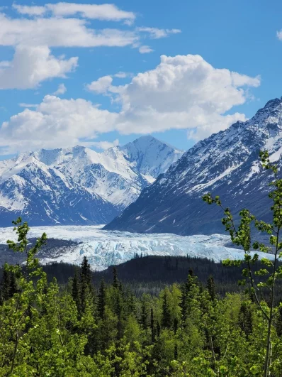 Сто лет назад. В 1925-м в Анкоридже произошло чудо, спасшее жителей Аляски
Сто лет назад. В 1925-м в Анкоридже произошло чудо, спасшее жителей Аляски