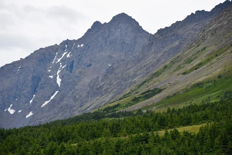 «В магазинах все сметают». Россиянка рассказала, что творится в Анкоридже
«В магазинах все сметают». Россиянка рассказала, что творится в Анкоридже