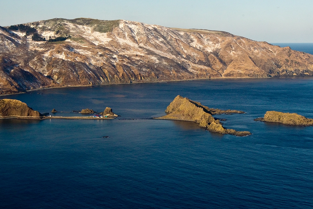 
        Адский отпуск. Как выжила 63-летняя дайвер, которую забыли на сутки в море    