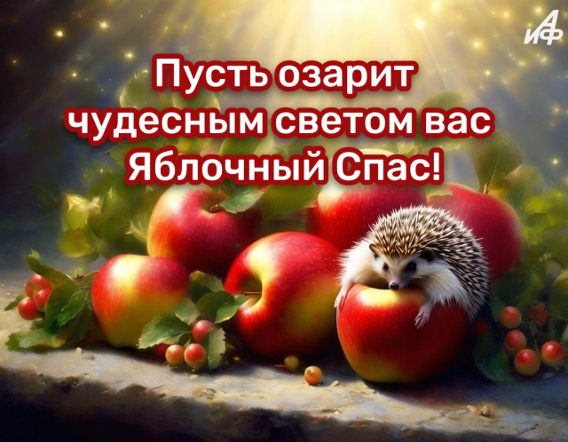 40+ открыток с Яблочным Спасом. Яркие и красивые картинки на 19 августа
40+ открыток с Яблочным Спасом. Яркие и красивые картинки на 19 августа