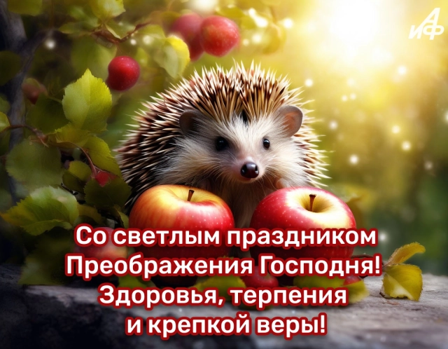 40+ открыток с Яблочным Спасом. Яркие и красивые картинки на 19 августа
40+ открыток с Яблочным Спасом. Яркие и красивые картинки на 19 августа