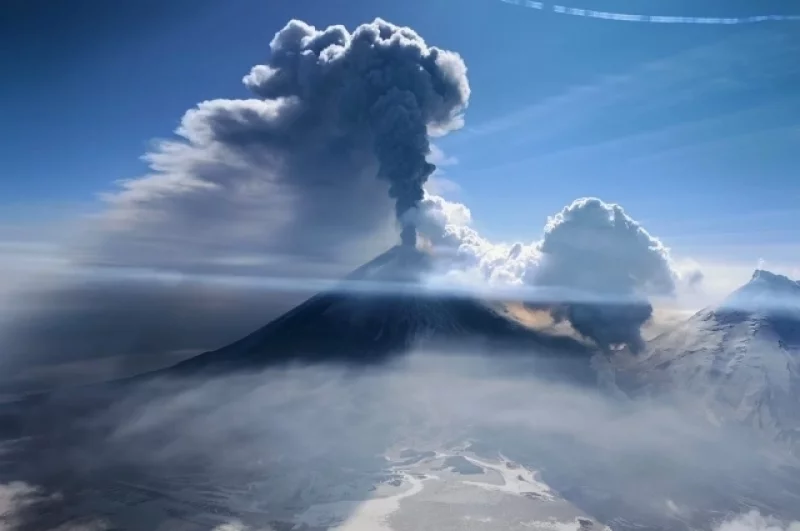 Экзотика океана. Китайский аппарат нашёл у Камчатки необычную форму жизни
Экзотика океана. Китайский аппарат нашёл у Камчатки необычную форму жизни