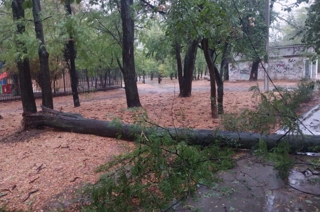 Потопы, смерчи, пожары. На популярные курорты обрушилось буйство стихий
Потопы, смерчи, пожары. На популярные курорты обрушилось буйство стихий