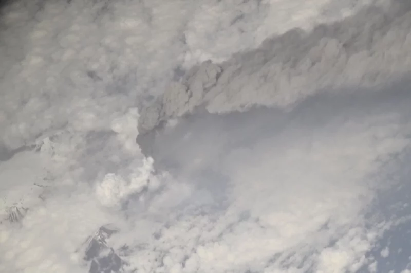 Экзотика океана. Китайский аппарат нашёл у Камчатки необычную форму жизни
Экзотика океана. Китайский аппарат нашёл у Камчатки необычную форму жизни