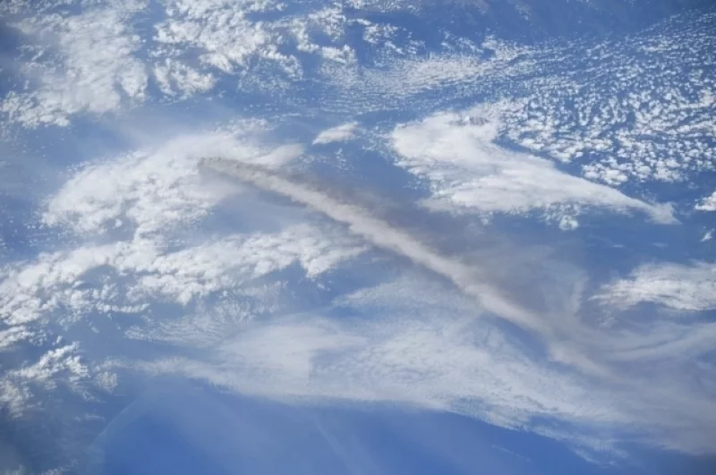 Экзотика океана. Китайский аппарат нашёл у Камчатки необычную форму жизни
Экзотика океана. Китайский аппарат нашёл у Камчатки необычную форму жизни