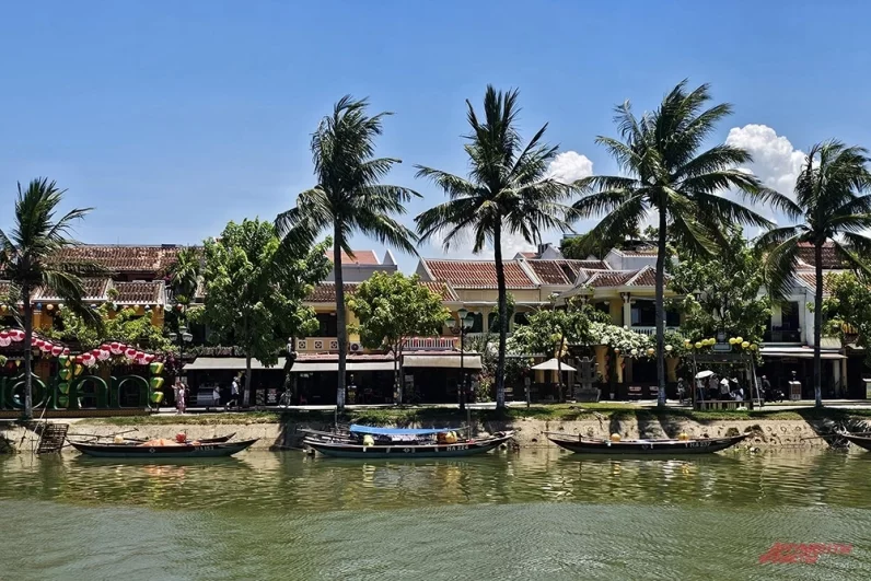 
        «Это пропаганда ЦРУ». Почему вьетнамцы едят «дикие отбивные», шокируя всех?    