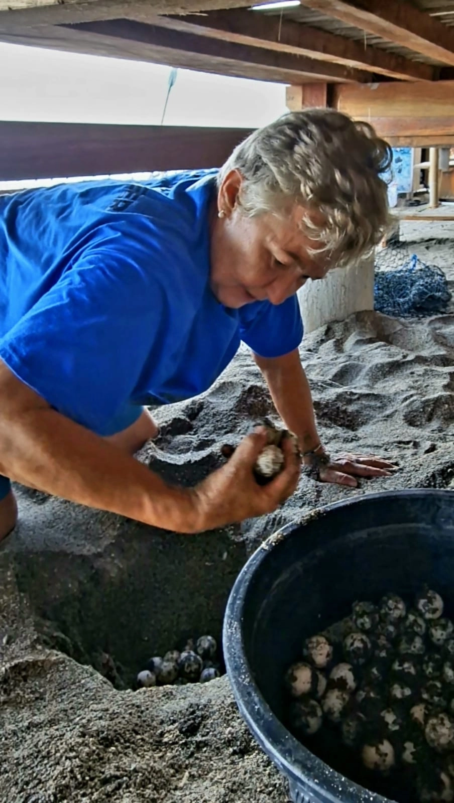 Бросила все ради черепах. 64-летняя москвичка борется с браконьерами на Бали
Бросила все ради черепах. 64-летняя москвичка борется с браконьерами на Бали