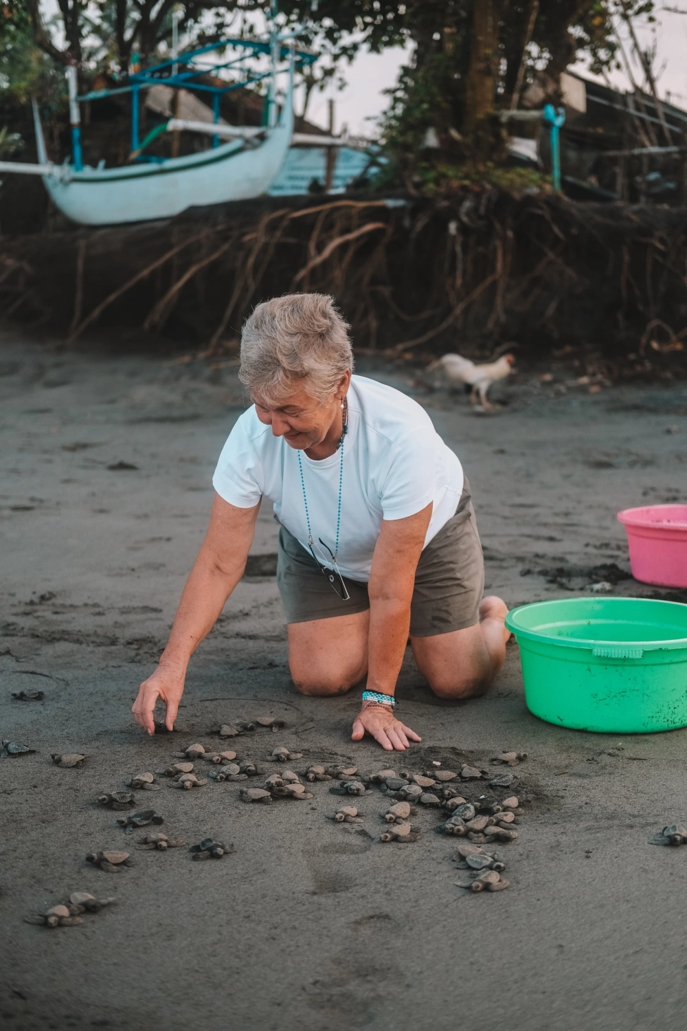 Бросила все ради черепах. 64-летняя москвичка борется с браконьерами на Бали
Бросила все ради черепах. 64-летняя москвичка борется с браконьерами на Бали
