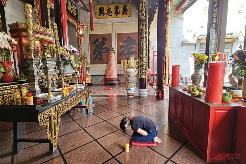 
        «Это пропаганда ЦРУ». Почему вьетнамцы едят «дикие отбивные», шокируя всех?    