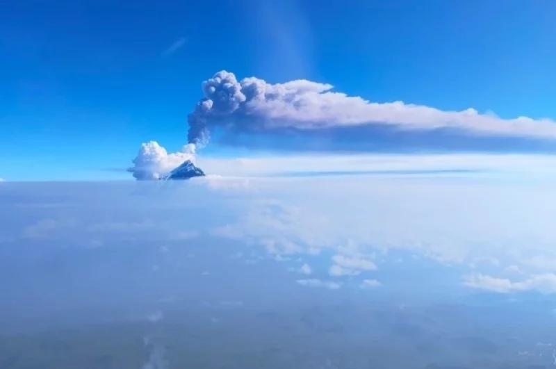 Экзотика океана. Китайский аппарат нашёл у Камчатки необычную форму жизни
Экзотика океана. Китайский аппарат нашёл у Камчатки необычную форму жизни