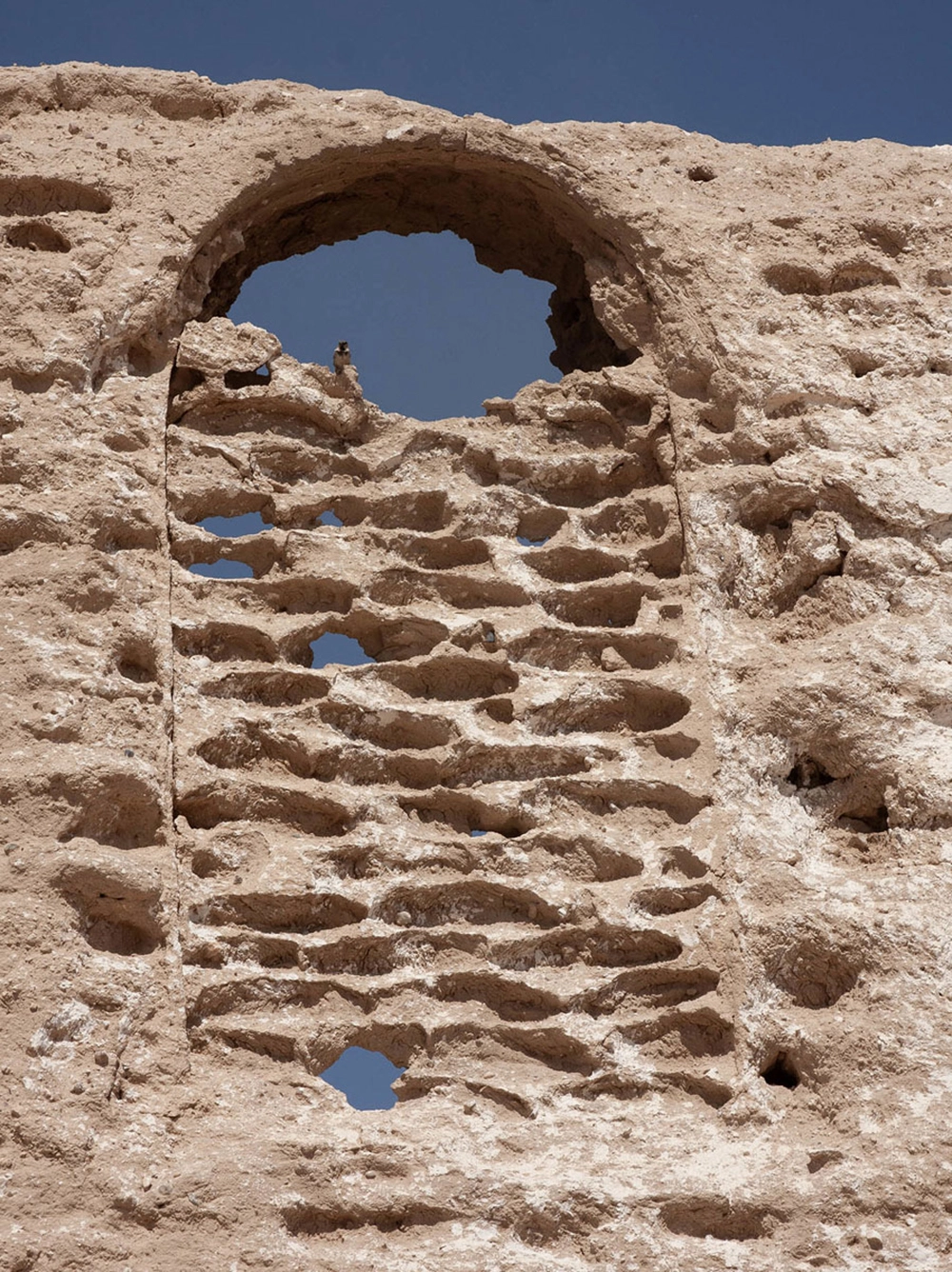 
        Тайна Великого потопа. Российские археологи изучают колыбель цивилизации    