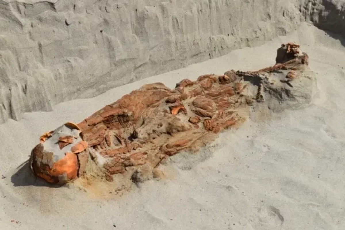 Скелет с петлёй на шее. В Перу нашли останки человеческих жертвоприношений
Скелет с петлёй на шее. В Перу нашли останки человеческих жертвоприношений