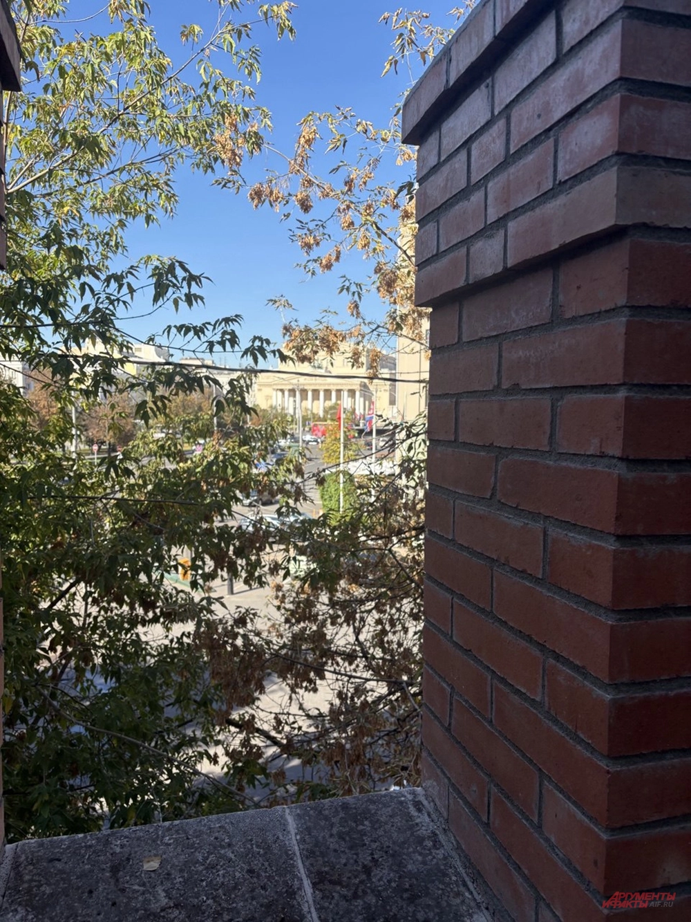 
        Дом первопечатника. Как живет 95-летняя кузница исторических кадров страны    