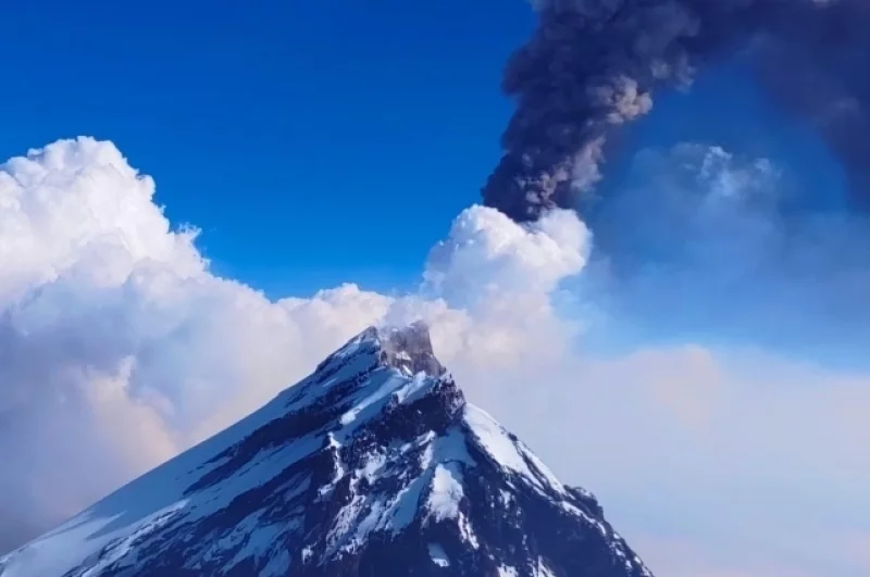 Экзотика океана. Китайский аппарат нашёл у Камчатки необычную форму жизни
Экзотика океана. Китайский аппарат нашёл у Камчатки необычную форму жизни