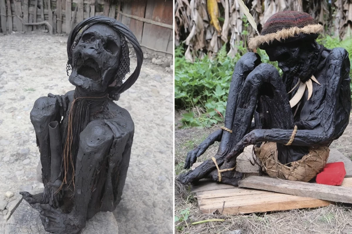 Дым предков. Учёные нашли древнейшие в мире мумии, которых закоптили
Дым предков. Учёные нашли древнейшие в мире мумии, которых закоптили