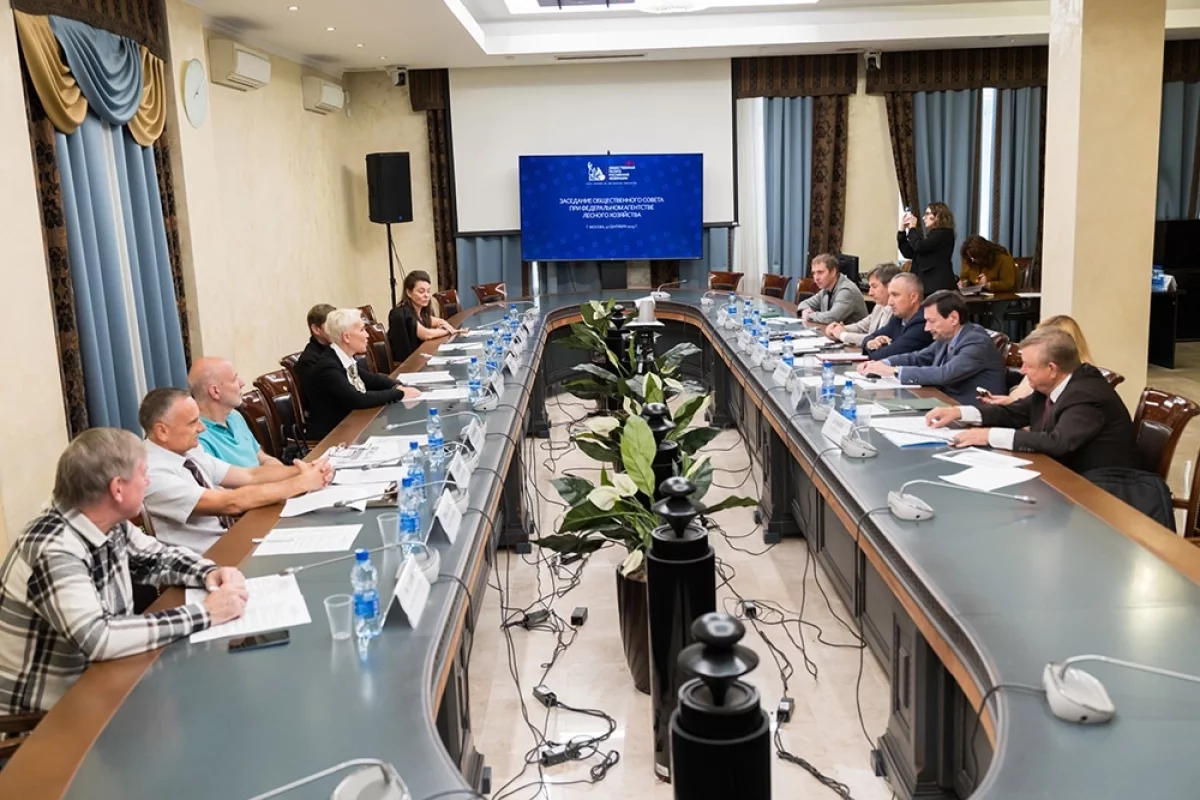 На лес золота. Стало известно, что помогает бороться с нелегальной вырубкой
На лес золота. Стало известно, что помогает бороться с нелегальной вырубкой