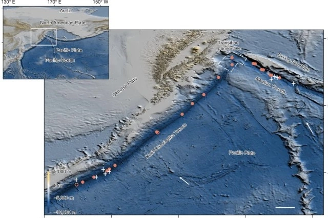 Экзотика океана. Китайский аппарат нашёл у Камчатки необычную форму жизни
Экзотика океана. Китайский аппарат нашёл у Камчатки необычную форму жизни