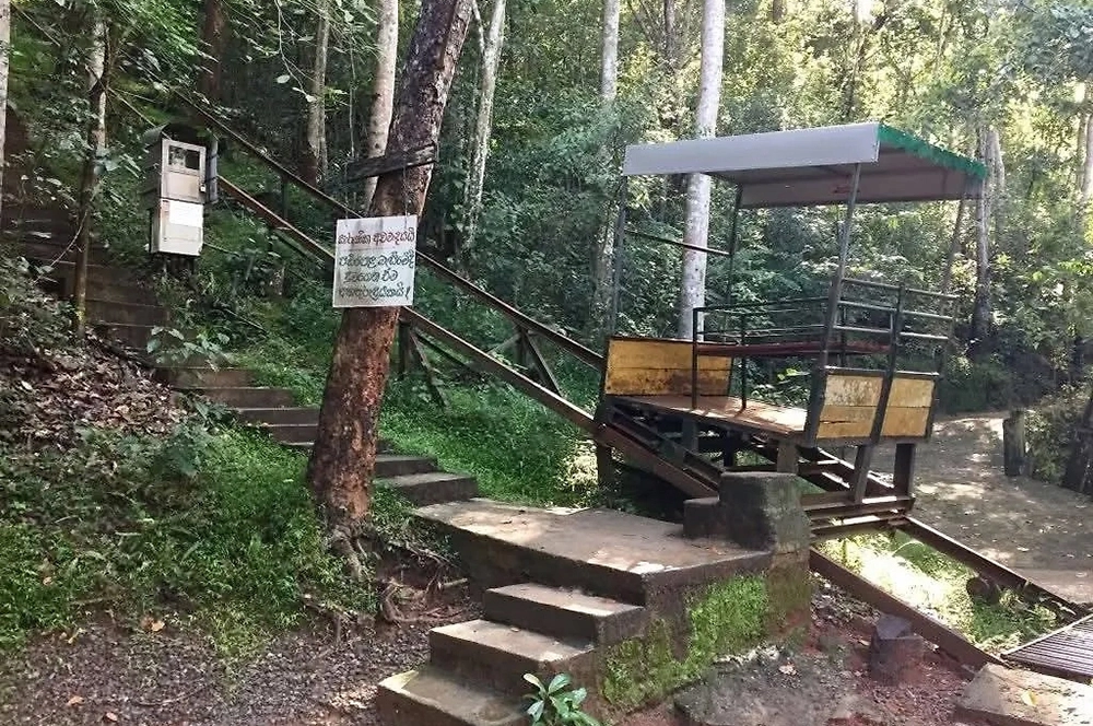 Замаливал грехи? У россиянина, умершего в монастыре Шри-Ланки, мог быть срок
Замаливал грехи? У россиянина, умершего в монастыре Шри-Ланки, мог быть срок