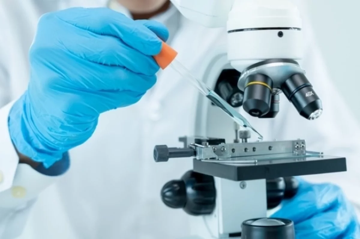 Двойной удар. Учёные РФ создали препарат против смертельных супербактерий
Двойной удар. Учёные РФ создали препарат против смертельных супербактерий