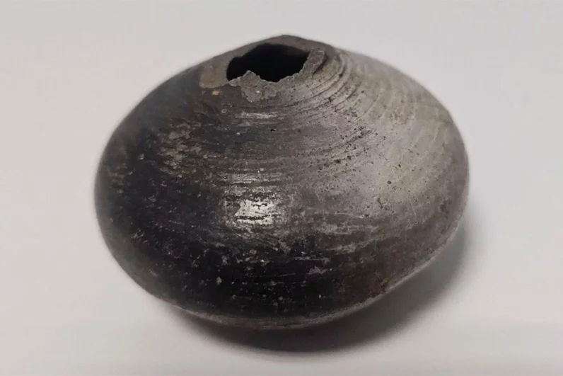 Страшный артефакт. Трёхликий бюст в Ирландии был связан с жуткими ритуалами
Страшный артефакт. Трёхликий бюст в Ирландии был связан с жуткими ритуалами