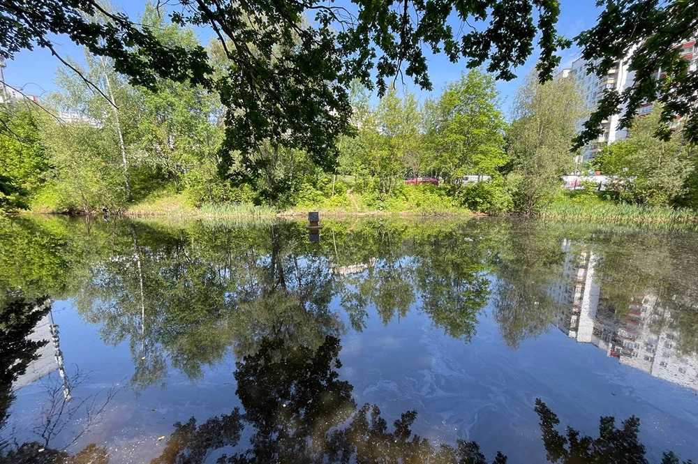 Удочка спать мешает. Зачем идти на рыбалку рано утром
Удочка спать мешает. Зачем идти на рыбалку рано утром