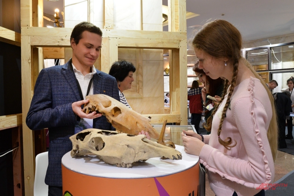 
        Обработать шкуру, спасти кошку. Чем заняться на фестивале «Наука 0+»    