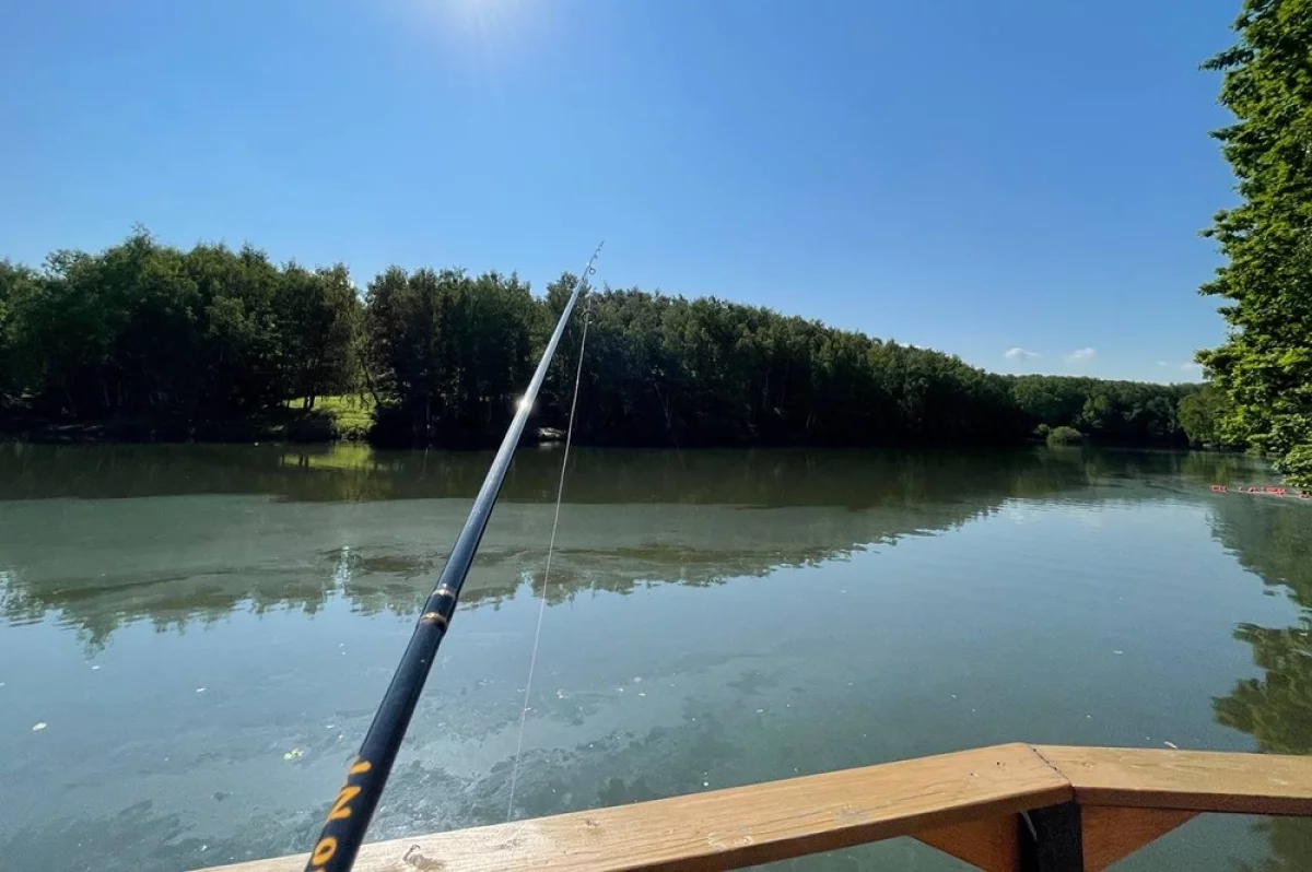 Удочка спать мешает. Зачем идти на рыбалку рано утром
Удочка спать мешает. Зачем идти на рыбалку рано утром