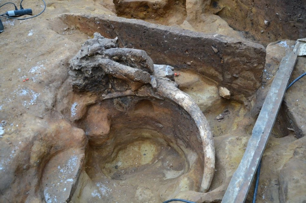 «Послания» древних людей. В Подмосковье находят клады в черепах мамонтов
«Послания» древних людей. В Подмосковье находят клады в черепах мамонтов