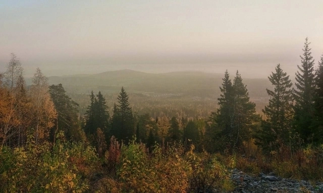 Раздолье для медведей. Вот, где пропали Усольцевы — красиво, но страшно
Раздолье для медведей. Вот, где пропали Усольцевы — красиво, но страшно