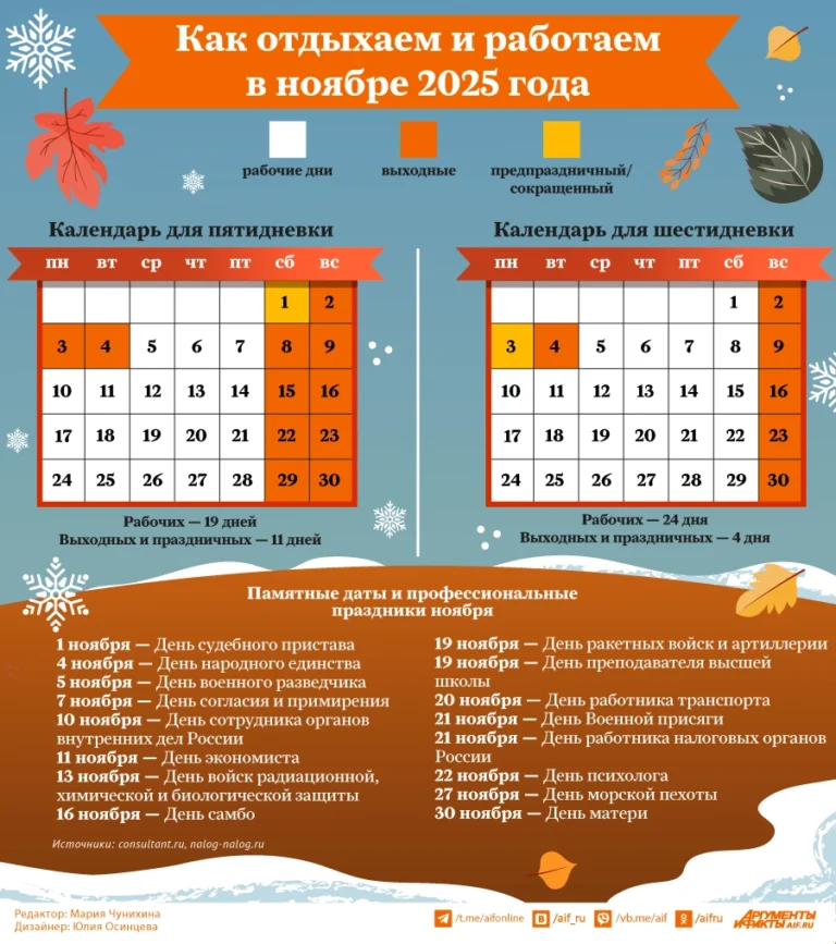 Как отдыхаем и работаем в ноябре 2025 года. Инфографика