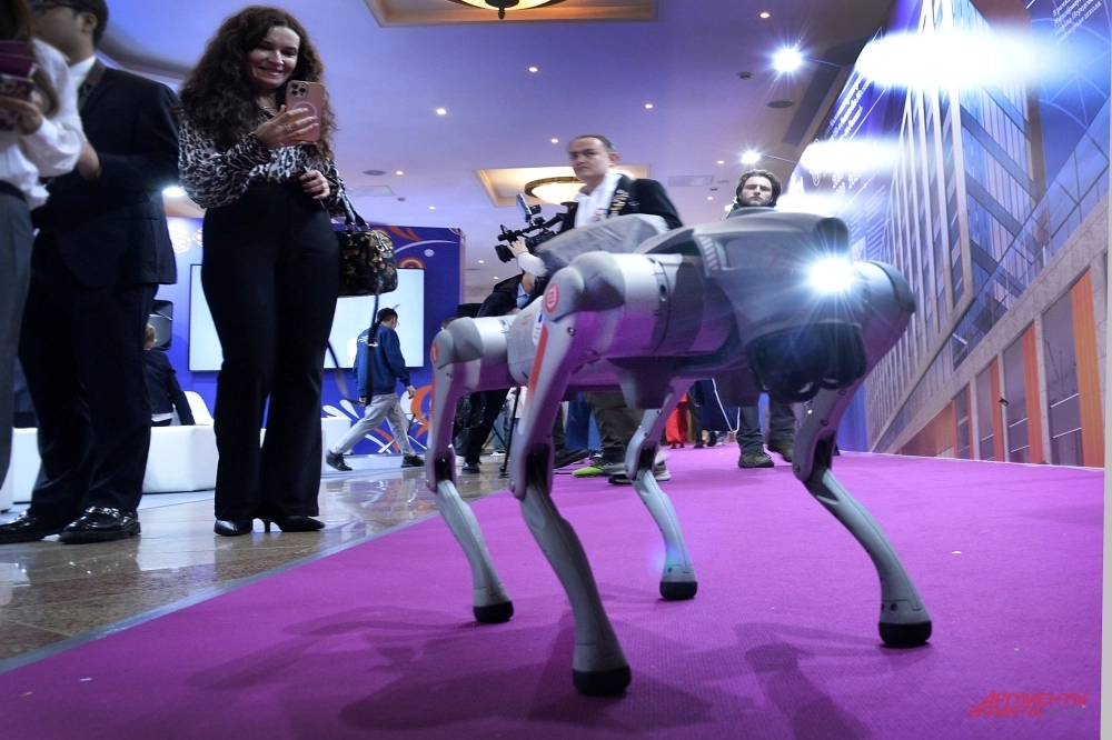 
        Обработать шкуру, спасти кошку. Чем заняться на фестивале «Наука 0+»    