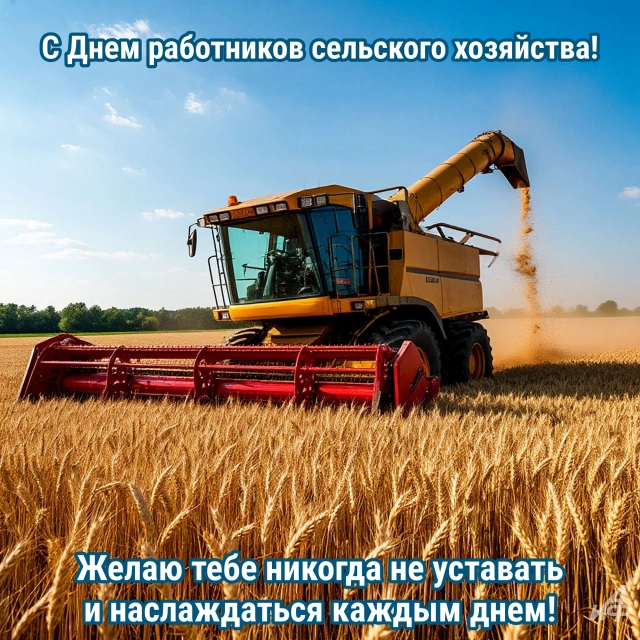 Открытки с Днем работников сельского хозяйства. Яркие картинки и пожелания
Открытки с Днем работников сельского хозяйства. Яркие картинки и пожелания