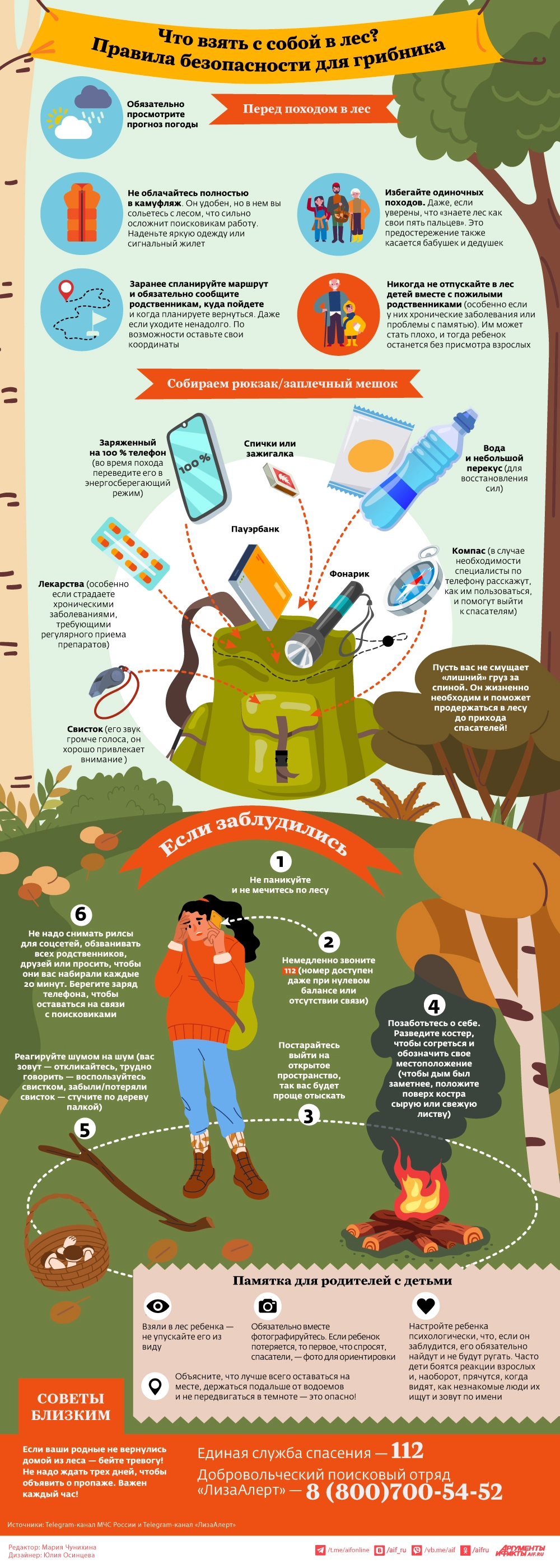 Как не потеряться в лесу? Памятка для грибников и советы близким Как не потеряться в лесу? Памятка для грибников и советы близким