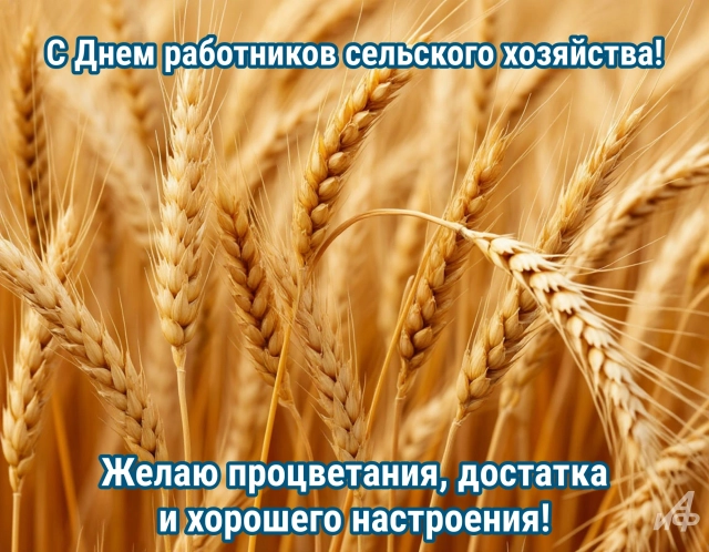 Открытки с Днем работников сельского хозяйства. Яркие картинки и пожелания
Открытки с Днем работников сельского хозяйства. Яркие картинки и пожелания