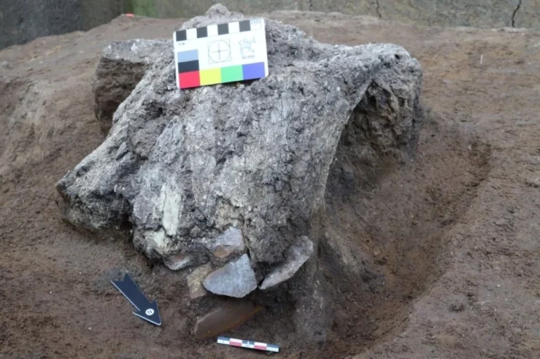 «Послания» древних людей. В Подмосковье находят клады в черепах мамонтов