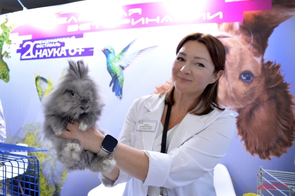 
        Обработать шкуру, спасти кошку. Чем заняться на фестивале «Наука 0+»    