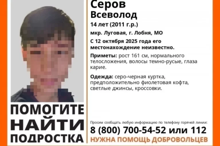 «Сева, тебя любят». От пропавшего в Люберцах мальчика остались кроссовки