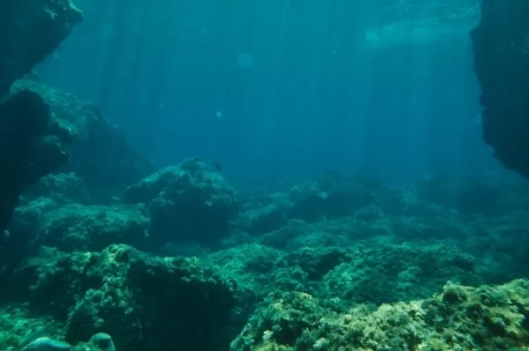 Клад на дне океана. Ученые обнаружили залежи редкоземов в подводных горах