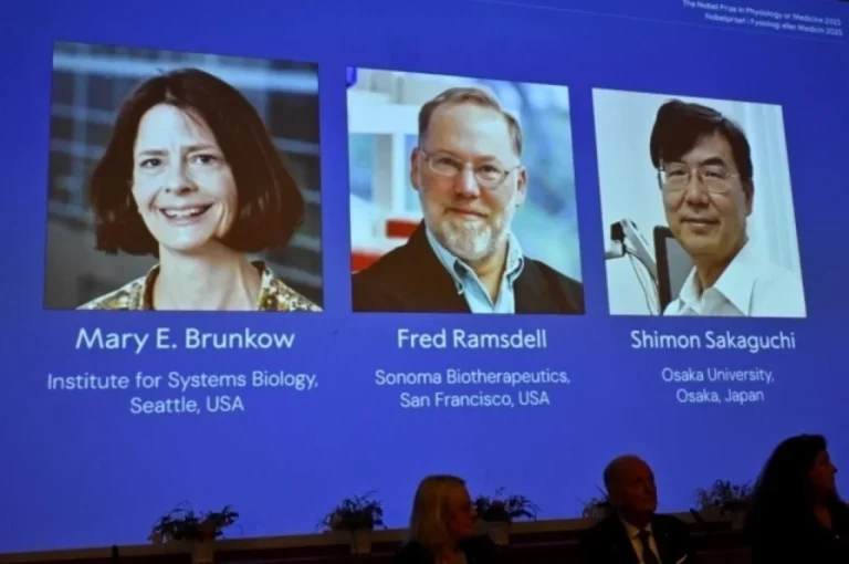 «Своих» не бить! Нобелевку по медицине дали за открытие «стражей порядка»