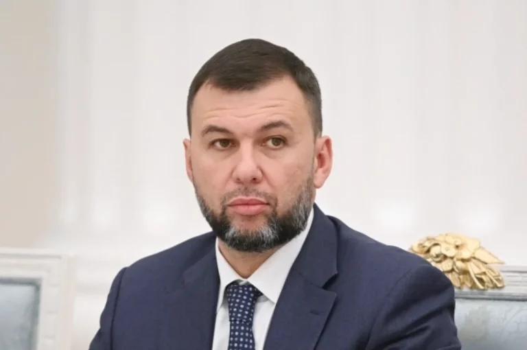 Пушилин: российские войска практически окружили Родинское в ДНР