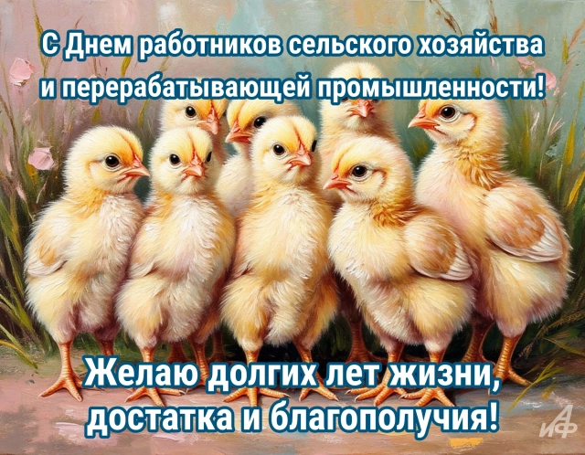 Открытки с Днем работников сельского хозяйства. Яркие картинки и пожелания
Открытки с Днем работников сельского хозяйства. Яркие картинки и пожелания